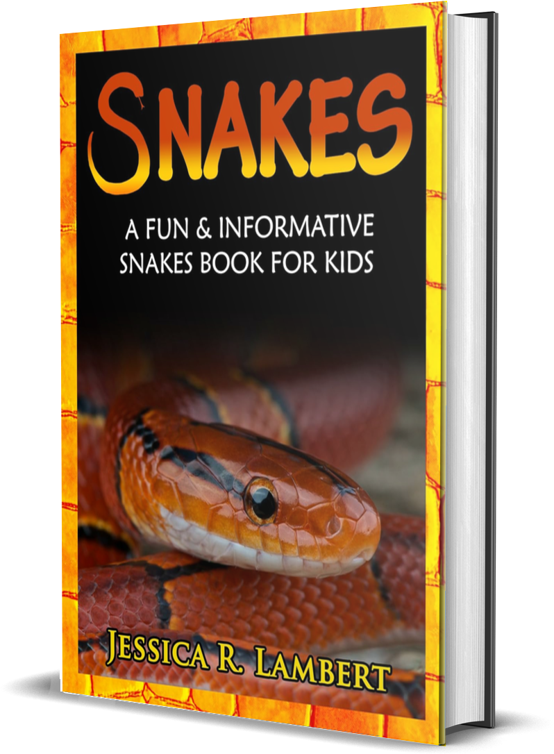 Snakes-A-Fun-Information.png